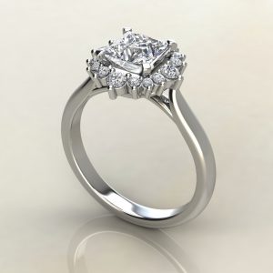 Moissanite Graduated Cathedral Halo Princess Cut Engagement Ring